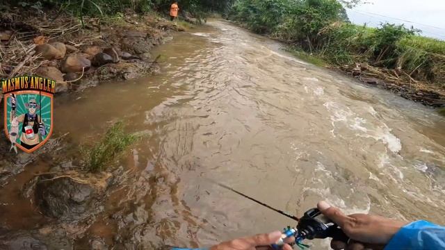 GARA GARA BANJIR HAMPALA NYA MIGRASI KEBAGIAN HULU #hampala #castinghampala #palung смотреть онлайн