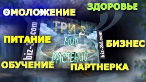 Функциональное питание и бизнес партнерка Компании Три Д