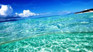 Дедовски с Кроликом.. ну выдали в конце