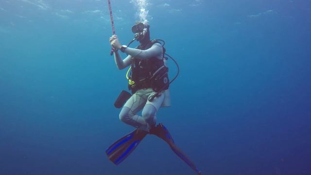 Mergui Archipelago Dive Safari - Myanmar смотреть онлайн