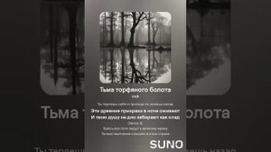Тьма торфяного болота