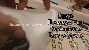 Делаю маску квд #Квадробика# 1 часть🍁