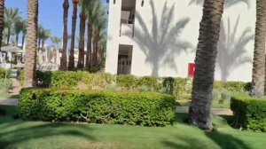 Reef Oasis beach Sentido 5*/Начало нашего отпуска #1 #рекомендации #travel #recommended #vlog #egyp