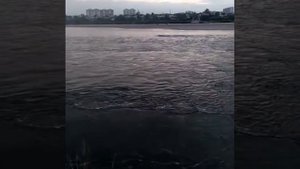 Туған қалам Семейім.
