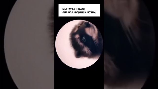 ДА-ДА МЫ ТАКИЕ) / #семья #тюмень #дом #недвижимостьнедлявсех #элитнаянедвижимость #proнедвижимость смотреть онлайн