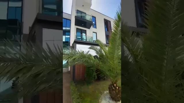 Квартиры в Сочи с ремонтом от застройщика 89068052288 смотреть онлайн