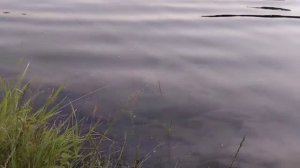 Свекровь со своей дочерью совсем обнаглели. Решила их проучить .