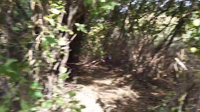 Наше первое ВИДЕО!!! Восстановление базы!!!🇺🇦 смотреть онлайн