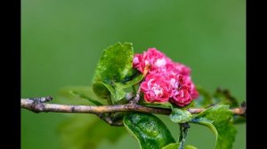 Спикерская Людмилы. АП.(Анонимные переедающие).  Тема: " Духовное пробуждение".