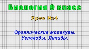 Биология 9 класс (Урок№4 - Органические молекулы. Углеводы. Липиды.)