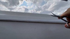 Как избавиться от мух в квартире?