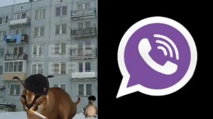 Думерские лица Шлёпы: твоя соц сеть #думер #депрессия #россия #шлепа #грустныелица #рекомендации