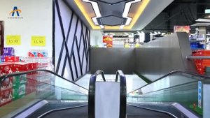 Траволаторы SL Elevator