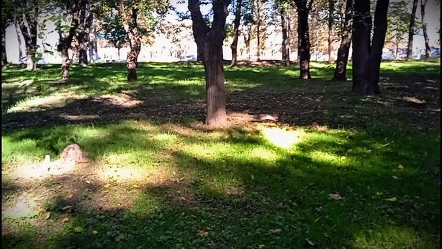 Комсомольский парк и пляж Черепашка
