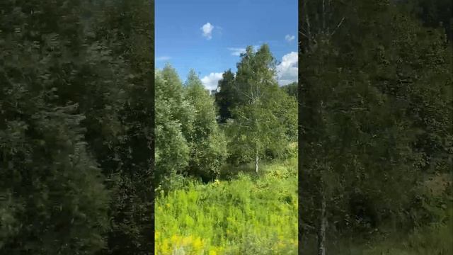Электричка Тула-Москва (Новоиерусалимская) Поездка в Хомяково