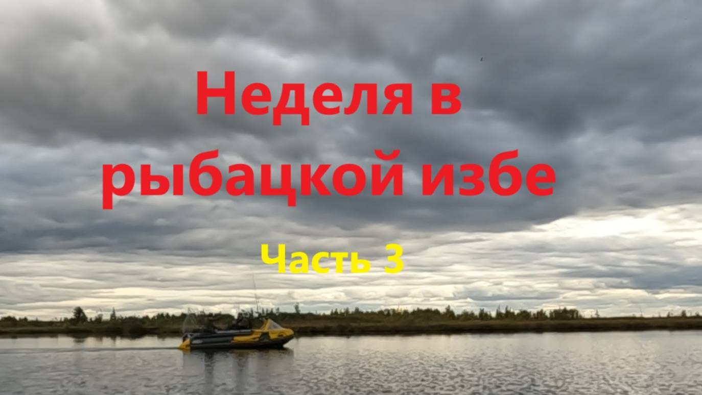 НЕДЕЛЯ В РЫБАЦКОЙ ИЗБЕ