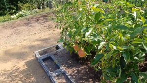 Дача в Германии, чудеса немецкой стройки, новости с дачи #германия #дача #стройка