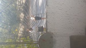 Телочки курят возле 86 дома школьницы