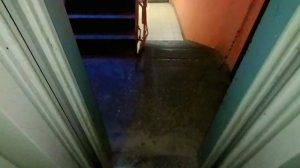 🔥 Дом московской серии II-29! Лифт (КМЗ-2006 г.в.)