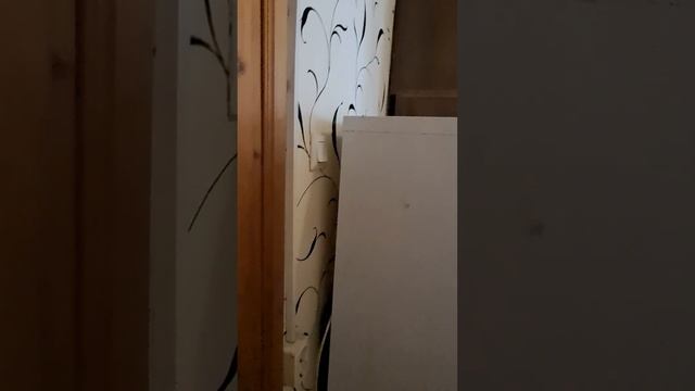 Дальневосточный проспект 82 к3 смотреть онлайн