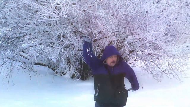 Видеосъемка под ключ.  https://www.youtube.com/channel/UC27gD_B3hEGYL2Bv-t4jmPg