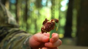 Народный ИРП России! Гордимся любой ценой! Необычная еда