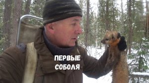 ПЕРВЫЕ СОБОЛЯ СЕЗОНА