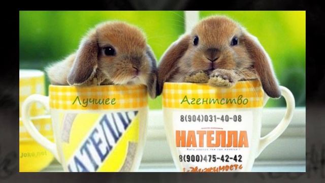 Изготавливаем рекламные видеосюжеты о недвижимости смотреть онлайн