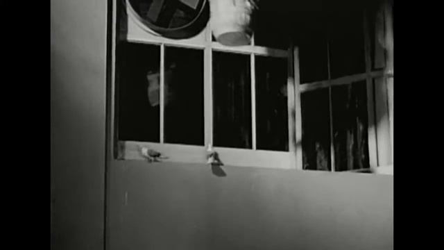 Воздушное приключение (1937)