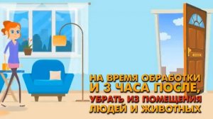 Как подготовить квартиру к обработке от клопов что делать после