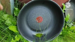 Обогащаюсь на мусорках Москвы.   н. 87