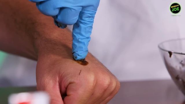 Ranking Mosquito Bite Remedies | Bless Your Rank