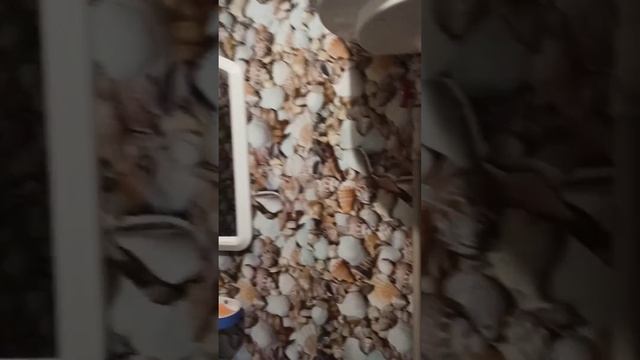 Одесса ул. Космонавтов, 1 комн., квартира на 4 этаже. смотреть онлайн