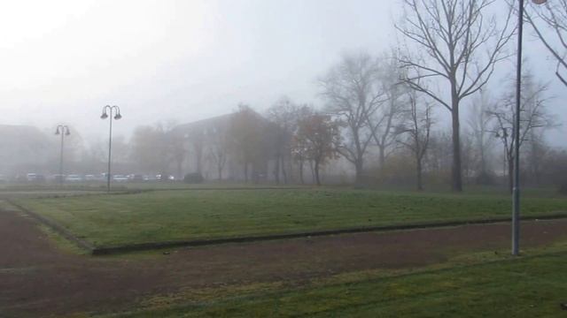 Гота