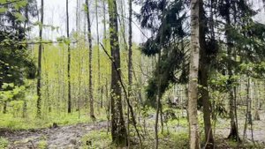 Ты где шляешься? Мать уже полчаса стоит с риелтором под дверью твоей квартиры! Орал в трубку муж.