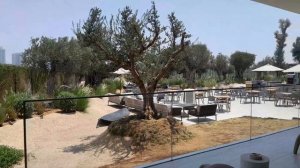 Дубаи Строительство виллы [M]