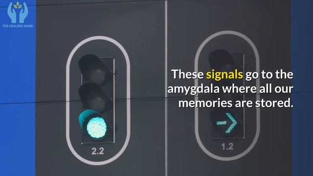 Why Aroma Therapy Is Powerful? According To Science || Aromatherapy for Anxiety & De-Stress