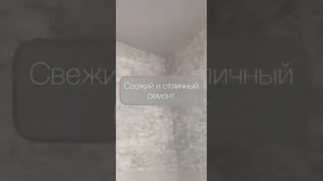 Видеообзор на 3х квартиру в 37 комплексе, Дружбы Народов 29А смотреть онлайн