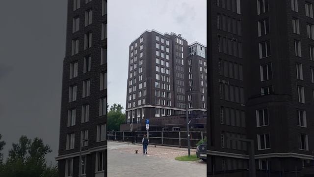 Новостройка в пешей доступности от метро #недвижимостьпитер #купитьквартиру #риэлтор