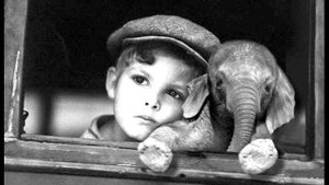 Elefante - Настя Каменских