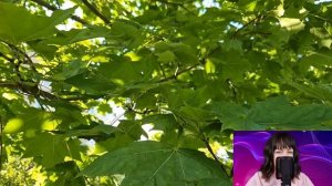 - Представь, как она удивится, узнав, что у нас скоро свадьба - жена застыла, услышав разговор...