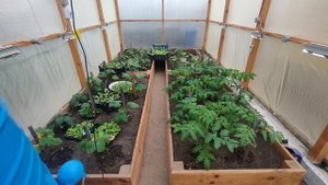 Умная теплица на ESP8266. Автономная теплица с проветриванием и автополивом.