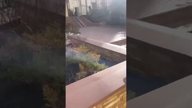Недвижимость риелтор бизнес класс апартаменты квартира