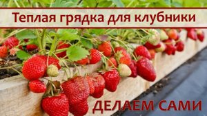 Теплую грядку под клубнику делаем сами!