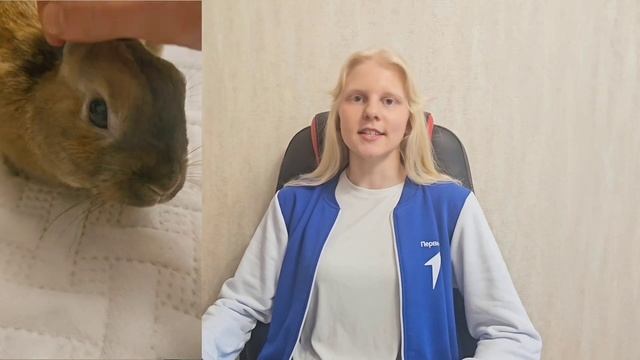 Плюсы и минусы декоративного кролика