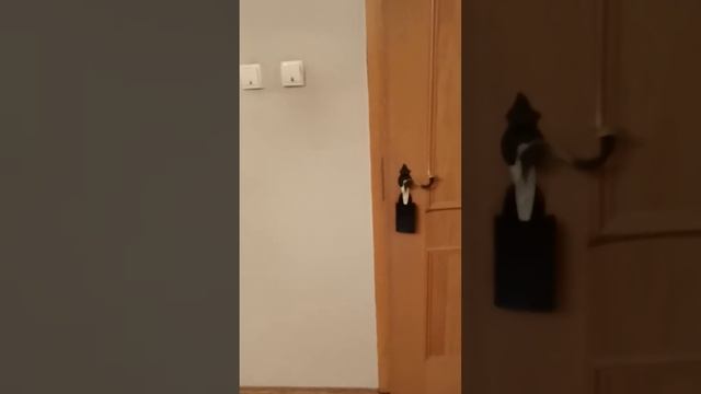 1 я Тверская 28 смотреть онлайн