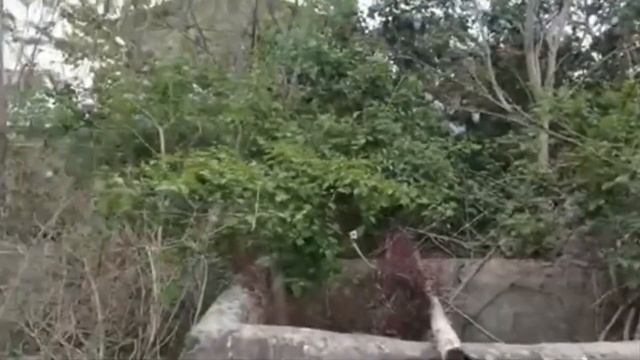 901530 смотреть онлайн