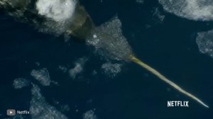 Сравнение Самых Больших Зубов Животных в Мире