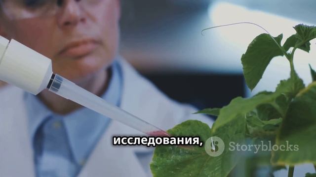 ПИЖМА. Целебный отвар и настой из пижмы. Создано с участием искусственного интеллекта.