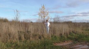 Скоро осень...лето красочный наряд грустно сбросит.